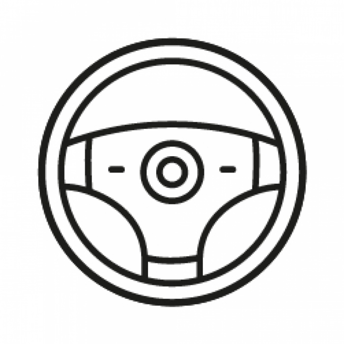 <p data-avantage="titre">Comfort steering wheel</p>
